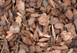 Pine Bark Chips