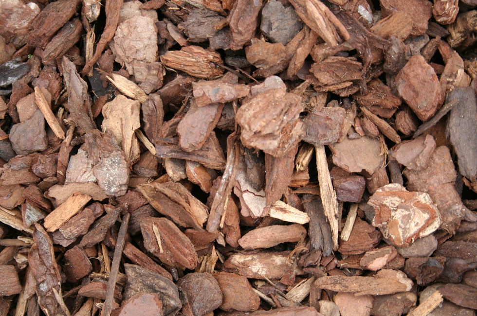 barks_Pine-bark_980x650 Pine Bark Chips