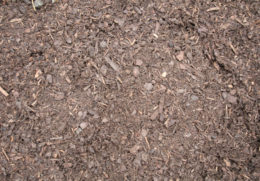 Composted Bark