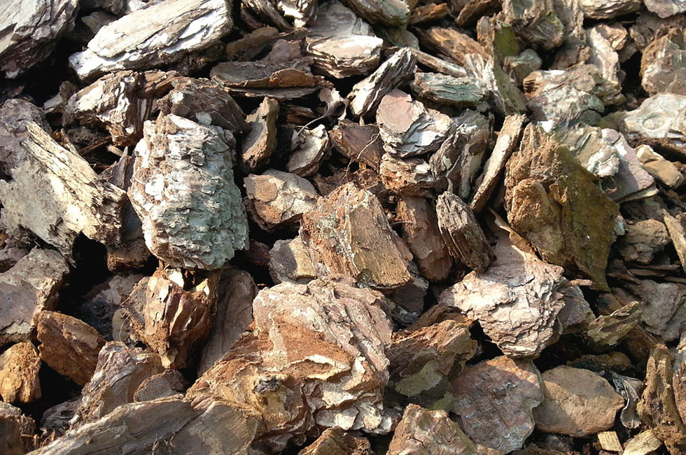 barks_premium-bark_980x650 Premium Bark
