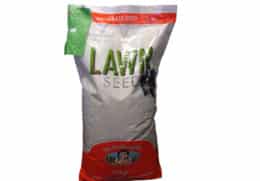 Grass Seed