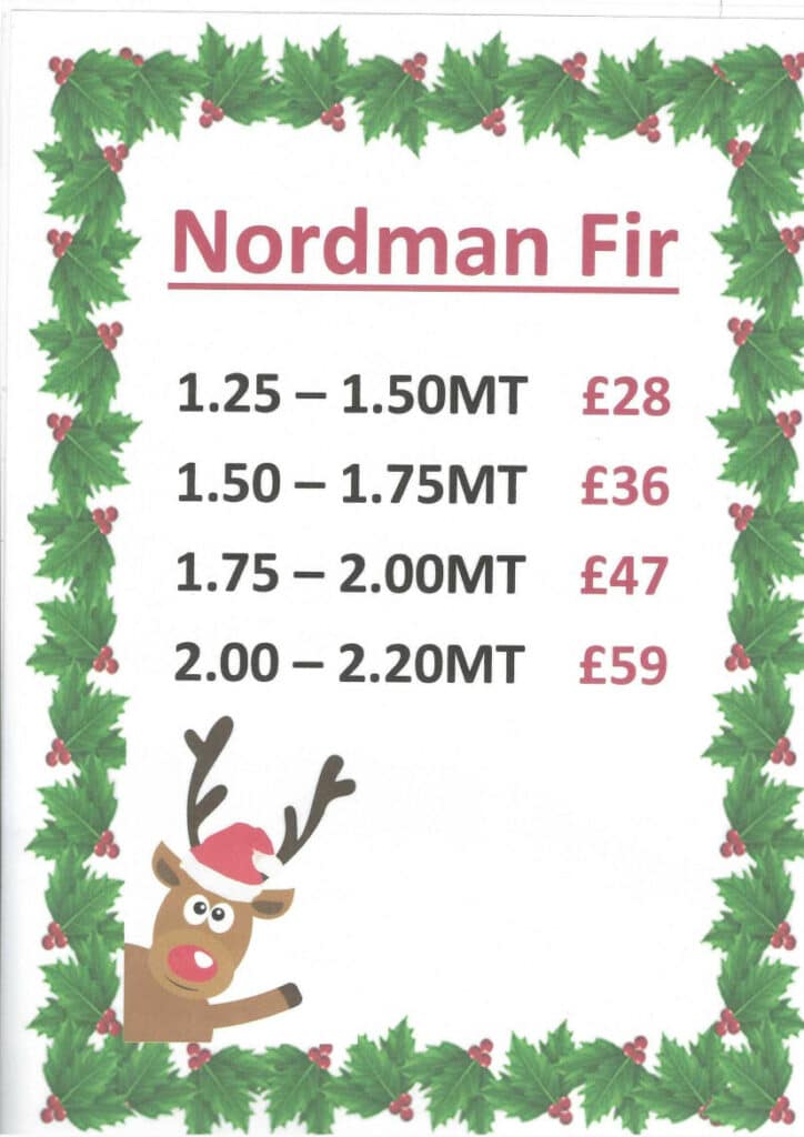 christmas trees for sale - madingley mulch